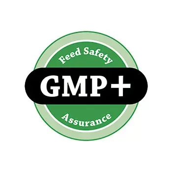 GMP