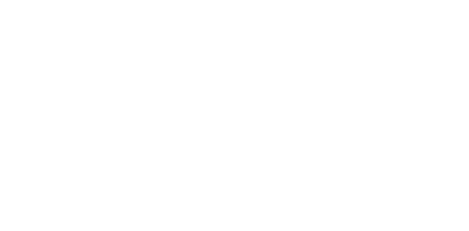 Zinc Nacional Logo