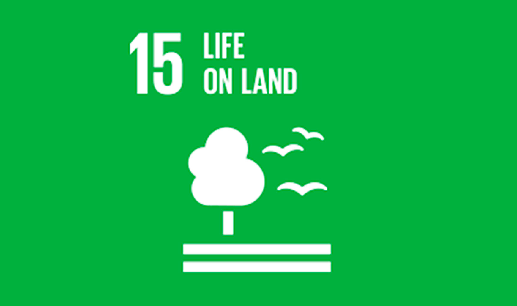 SDG 15