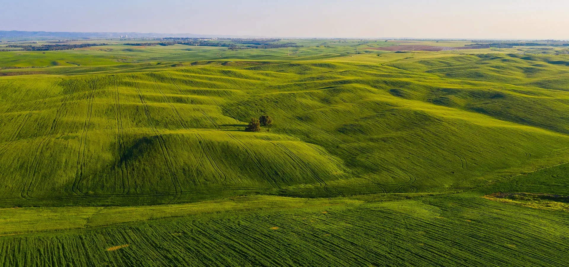 ENVIRONMENTAL ACTION BG