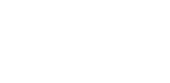 ZN Cartoncillo Logo